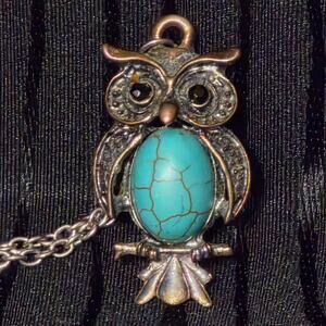 Vintage Owl Turquoise Pendant Necklace Silver Tone Long Chain Boho